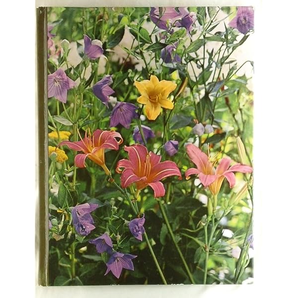 Alpines for Your Garden: Alan Bloom: 9780903001403: Amazon.com: Books
